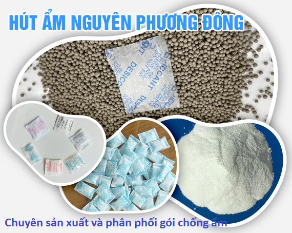 Nguyen Phuong Dong Co., Ltd